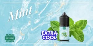 GENESIS 小煙油 30ML|30+種專業調味
