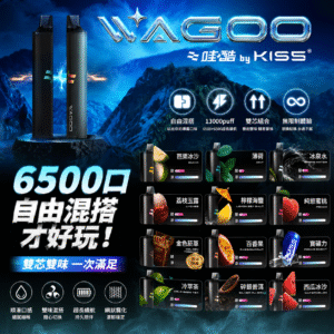 WAGOO 哇酷 KIS5 6500口 雙芯雙味一次性電子煙